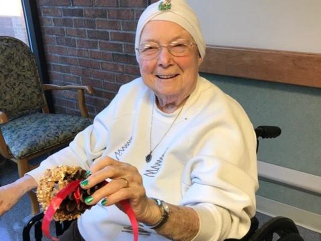 ARBORS AT MINERVA - Skilled Nursing Facility photo in MINERVA, OH